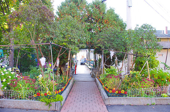 Riverhouse Footbridge-2