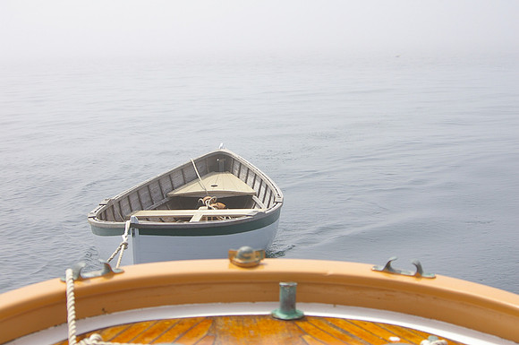 Tender in the Fog