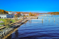 Belfast Fall 2022-7