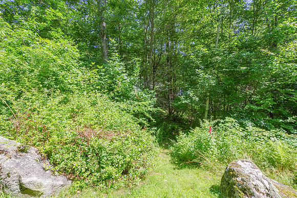 Blue Bird Lane 10