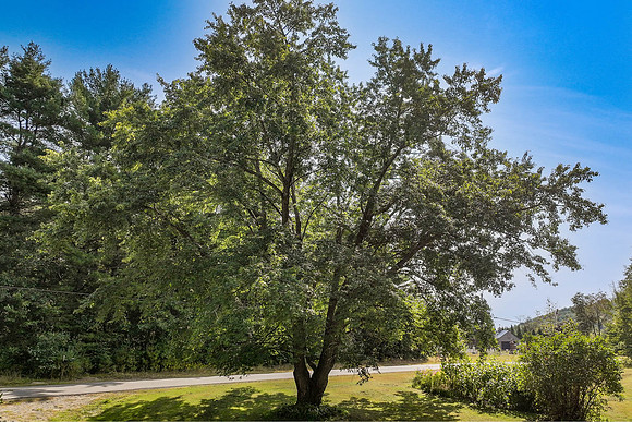485 Jackson Rd 30