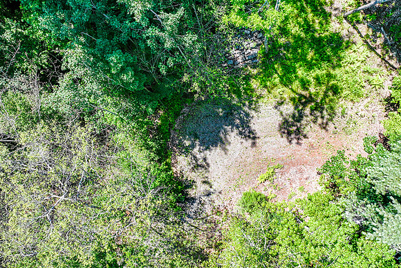 Blue Bird Lane 09